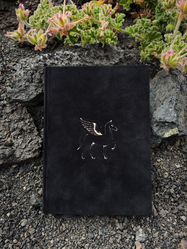 Presentación del fotolibro PEGASOENEA con Gorka Beunza- Actividad Gratuita